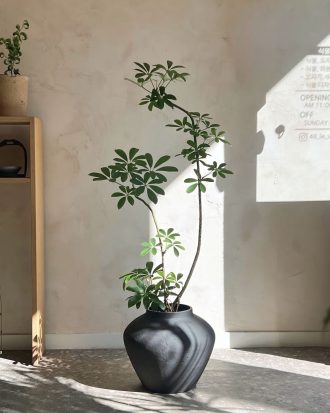 Tall Matte Black Decorative Pot